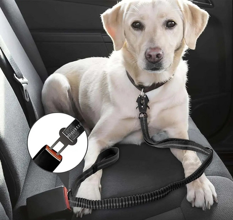 Reflective Shock Absorbing  Dog Leash Seatbelt Buckle Dog Stuff  BushLine