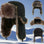 Russian Furr lined winter Bomber Hat Thermal & Wool Beanies  