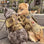 S M L XL Dog Harness Vest with Molle packs Dog Stuff  