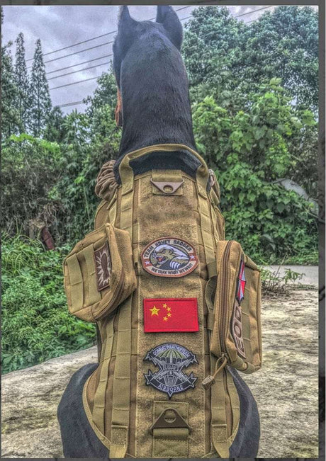 S M L XL Dog Harness Vest with Molle packs Dog Stuff  