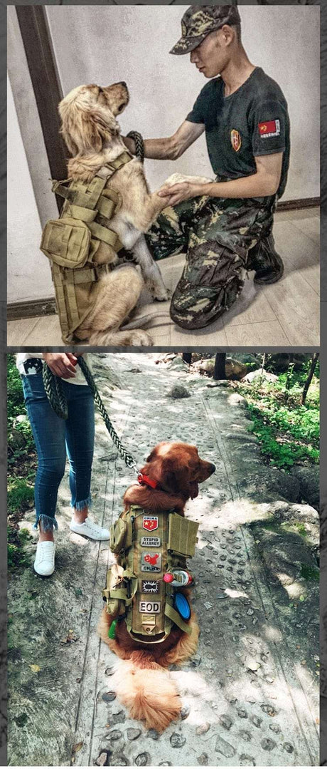 S M L XL Dog Harness Vest with Molle packs Dog Stuff  