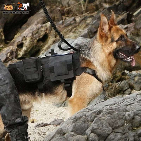 S M L XL Dog Harness Vest with Molle packs Dog Stuff BushLine Black S