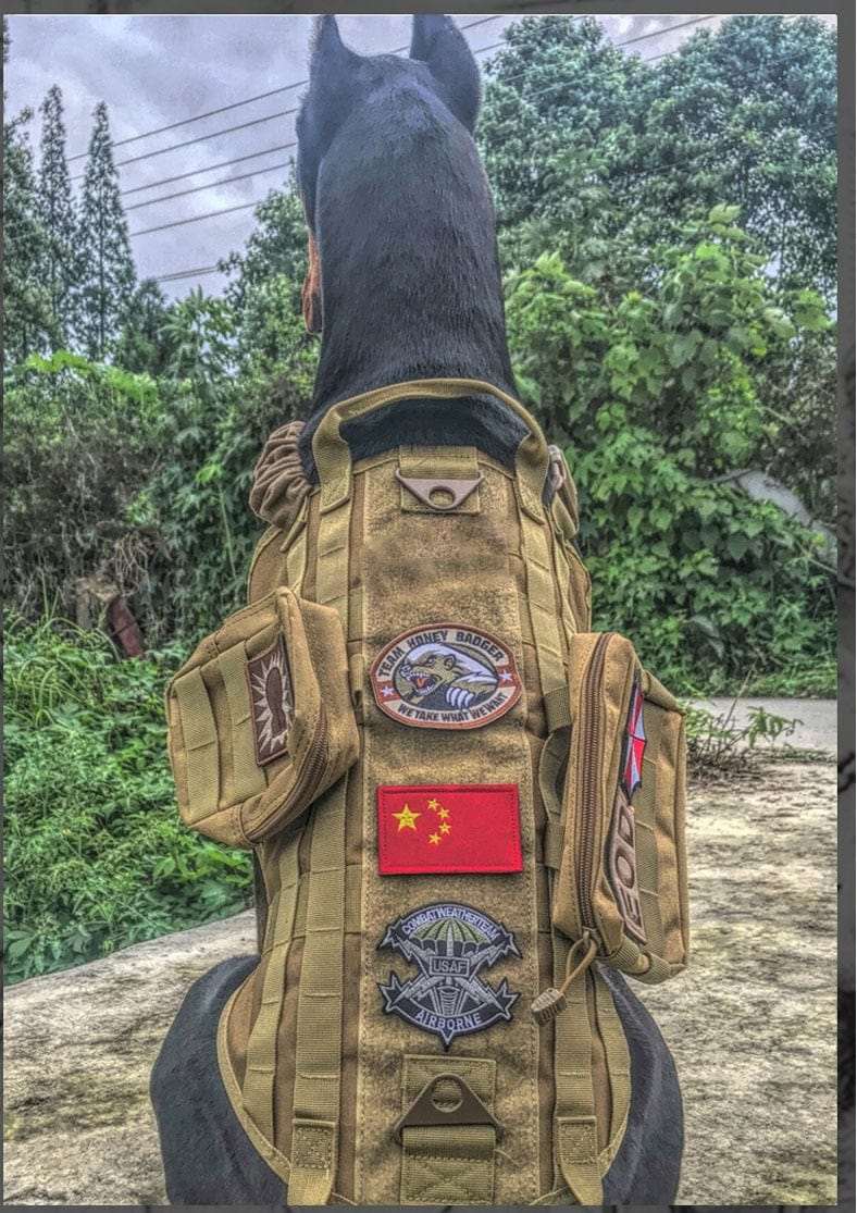 S M L XL Dog Harness Vest with Molle packs Dog Stuff  BushLine