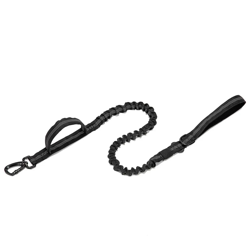 Dog Collar Leash  & Leash  Set