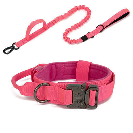 Dog Collar Leash  & Leash  Set