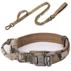 Dog Collar Leash  & Leash  Set