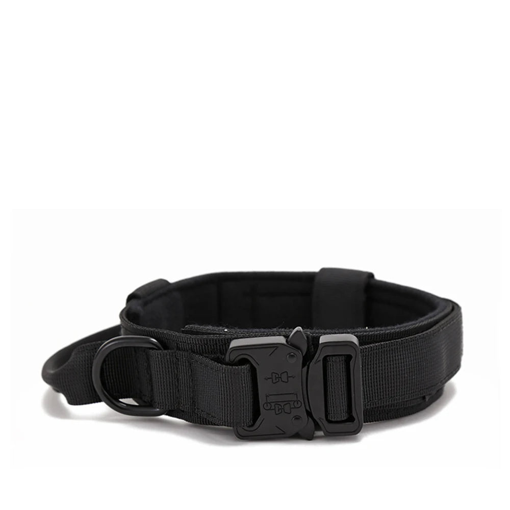 Dog Collar Leash  & Leash  Set