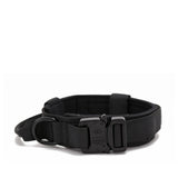 Dog Collar Leash  & Leash  Set