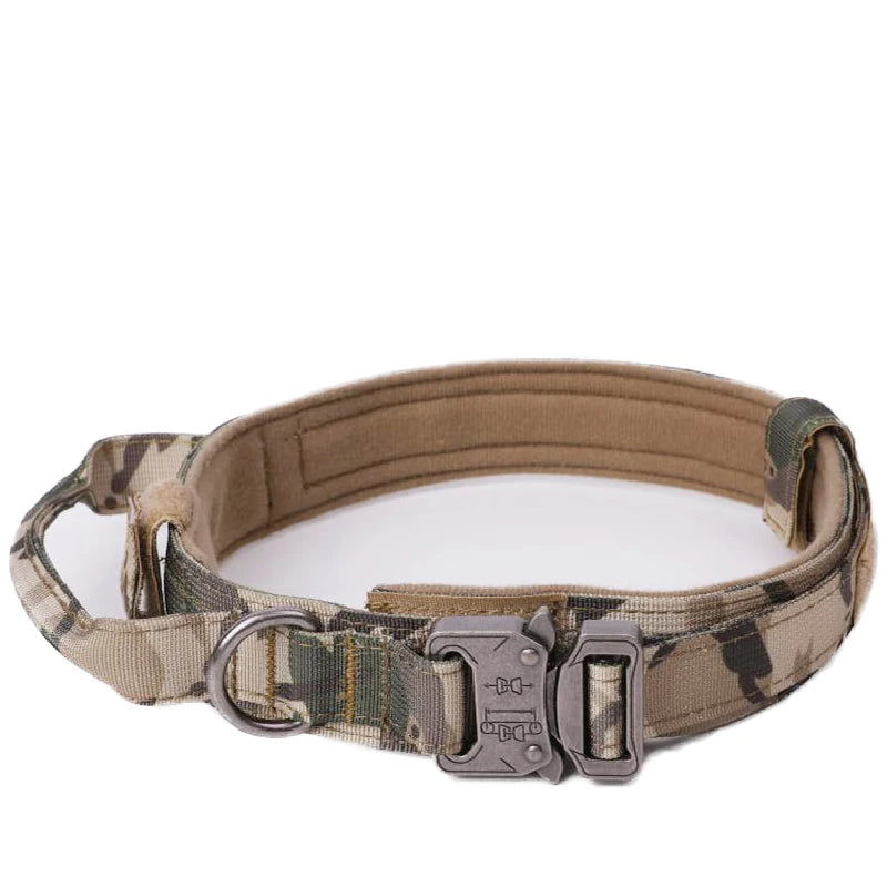 Dog Collar Leash  & Leash  Set