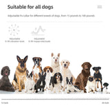 Rechargeable Dog Training & Anti-Bark Collar 800m