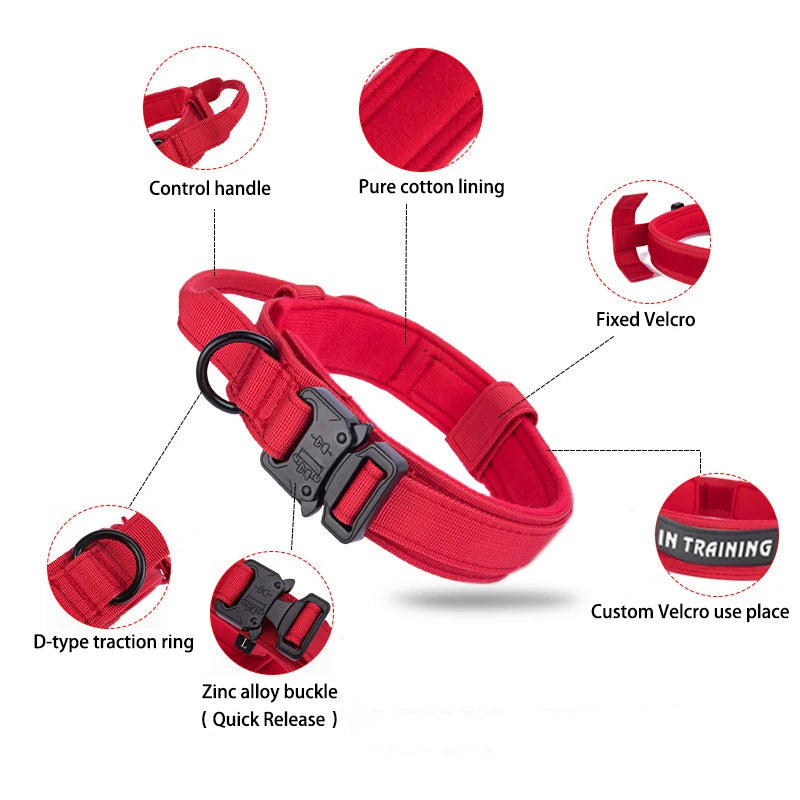 Dog Collar Leash & Leash Set Dog Stuff BushLine