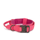 Dog Collar Leash  & Leash  Set