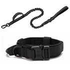 Dog Collar Leash  & Leash  Set