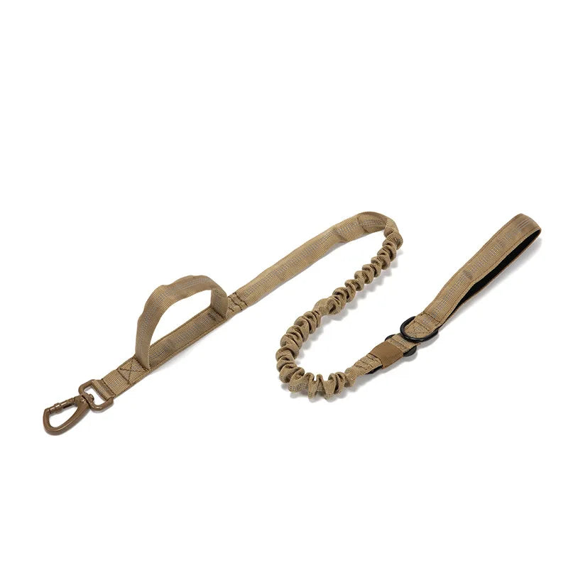 Dog Collar Leash  & Leash  Set