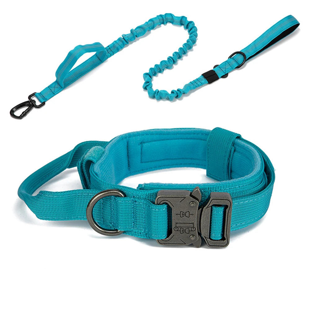 Dog Collar Leash  & Leash  Set