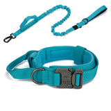 Dog Collar Leash  & Leash  Set