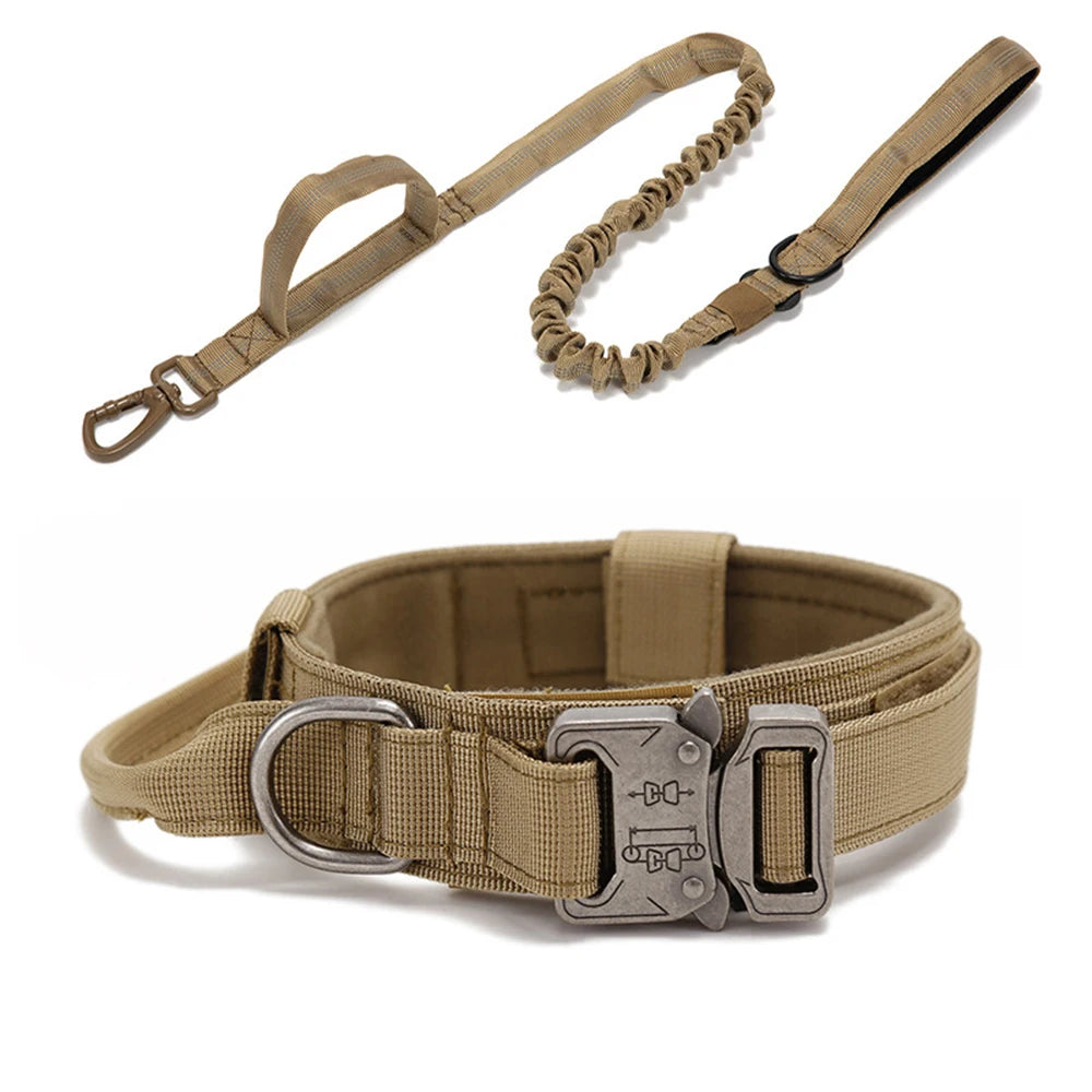 Dog Collar Leash  & Leash  Set