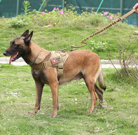 SPANKER Dog Training Vest Harness Dog Stuff  BushLine