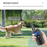 Rechargeable Dog Training & Anti-Bark Collar 800m