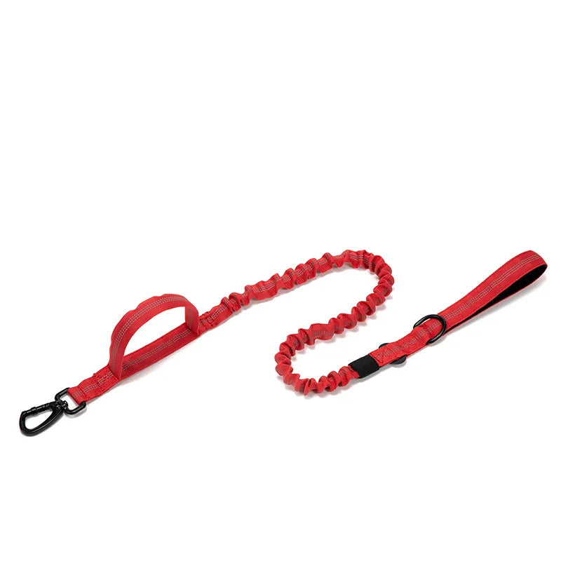 Dog Collar Leash  & Leash  Set