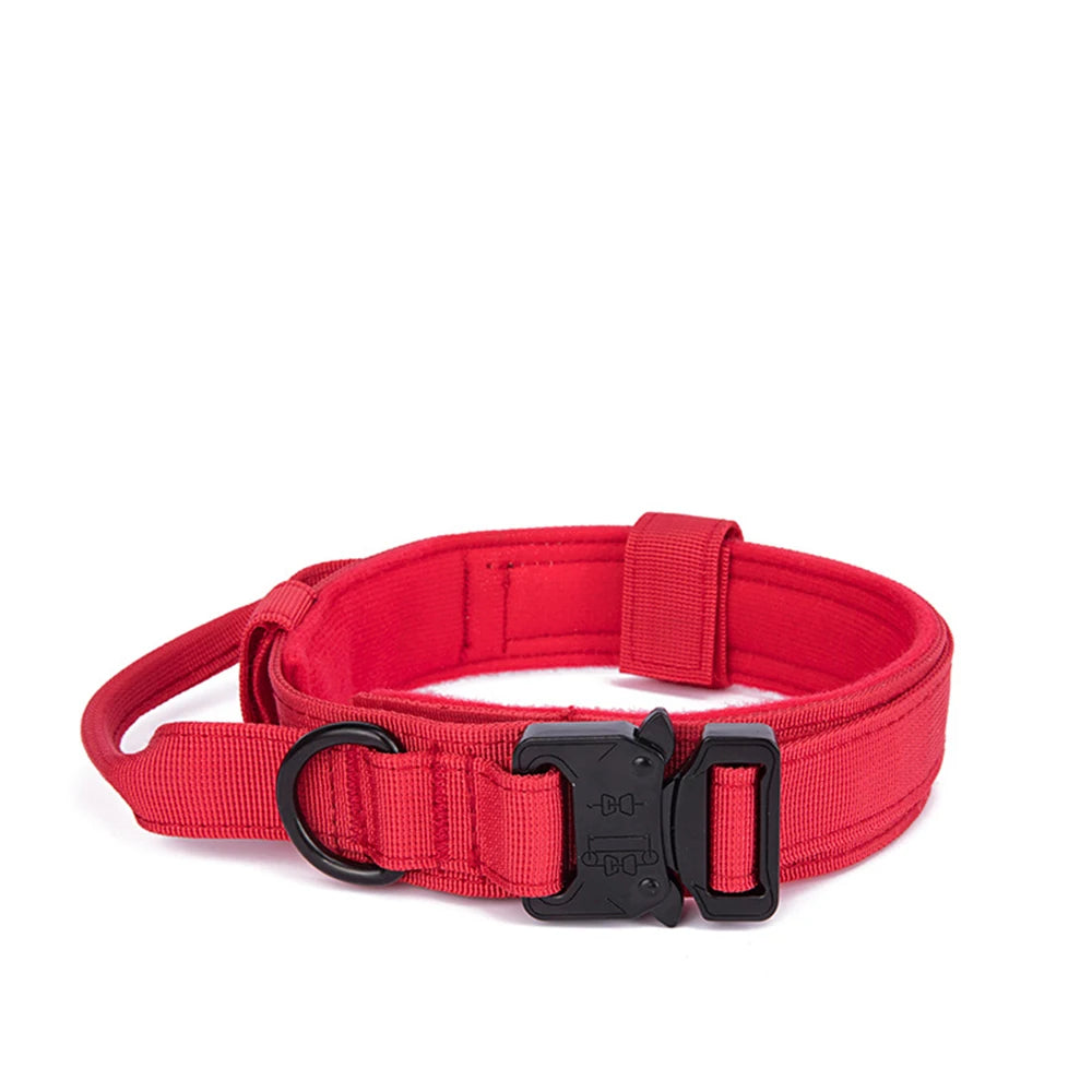 Dog Collar Leash  & Leash  Set