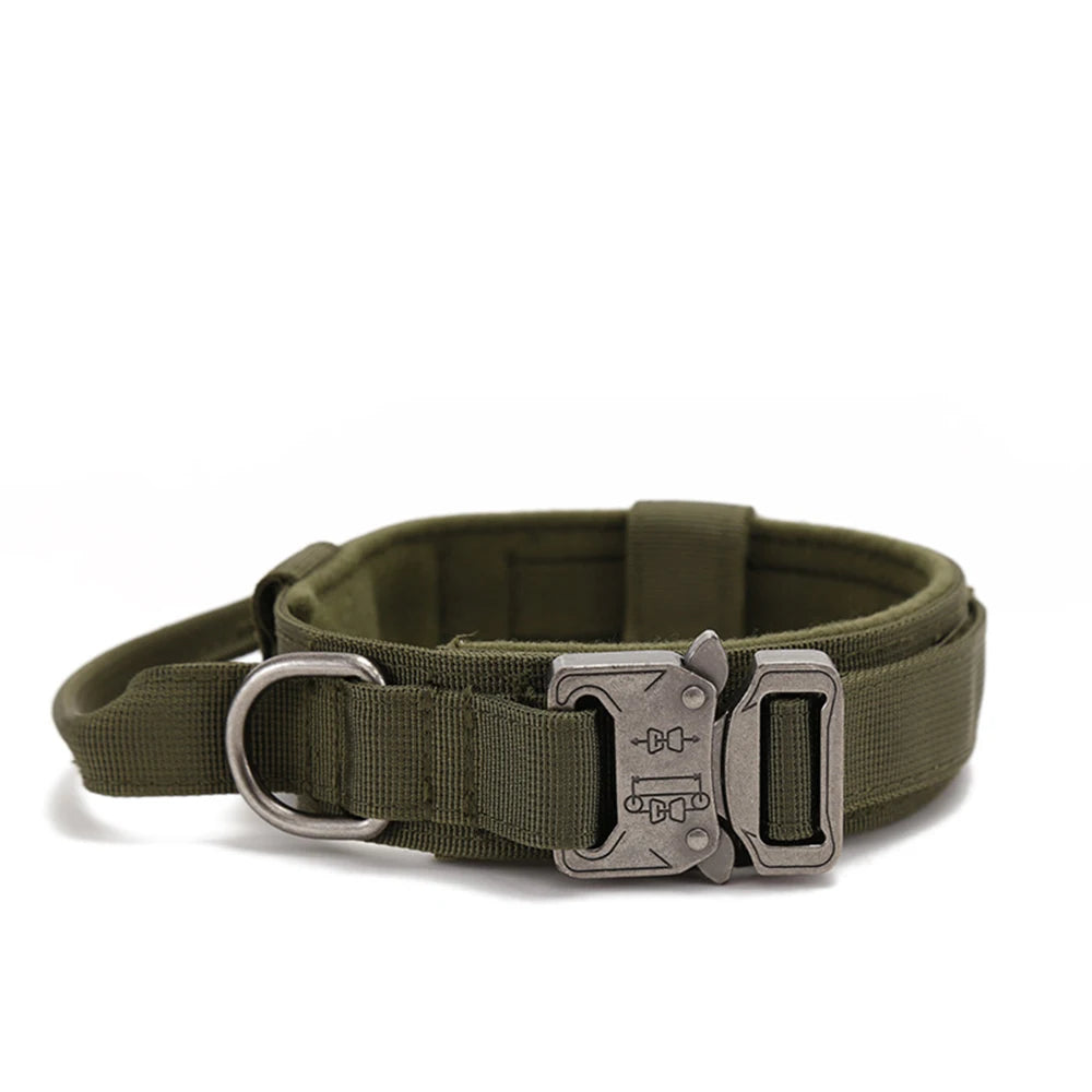 Dog Collar Leash  & Leash  Set