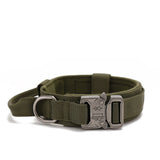 Dog Collar Leash  & Leash  Set