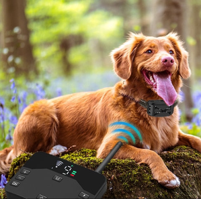 Dog wireless fence sales collar