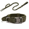 Green collar and lead set laid flat, buckle and D-ring in view