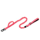 Dog Collar Leash  & Leash  Set