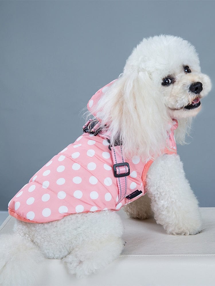 Waterproof Warm Dog Jacket Vest Dog Stuff  BushLine