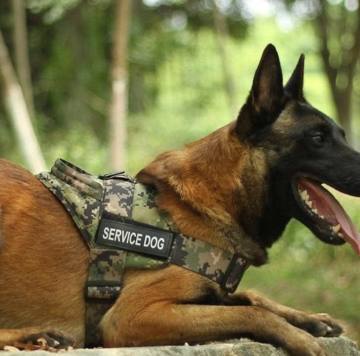 K9 harness vest best sale