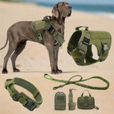 Great Dane in green harness on sand, with collar, bungee lead and three pouches