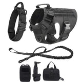 Black four-piece set: harness, padded collar, bungee lead and three MOLLE pouches