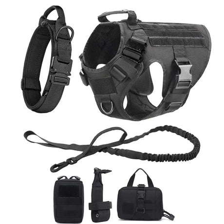 Black four-piece set: harness, padded collar, bungee lead and three MOLLE pouches