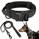 Padded black collar with metal quick-release buckle and D-ring, bungee lead and Dobermann