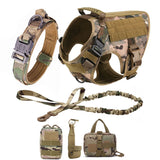 Camo four-piece set: harness, padded collar, bungee lead and three MOLLE pouches