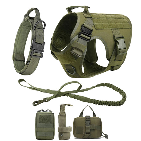 Green four-piece set: harness, padded collar, bungee lead and three MOLLE pouches