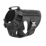 Black harness alone, three-quarter view showing metal chest buckle and chest D-ring