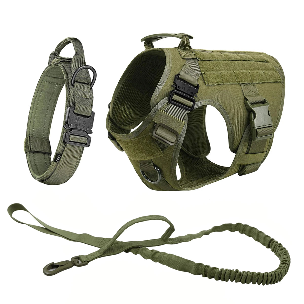 Green three-piece set: harness, padded collar with metal buckle and bungee lead