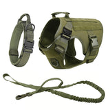 Green three-piece set: harness, padded collar with metal buckle and bungee lead
