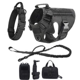 Black four-piece set laid out: harness, collar, bungee lead and three pouches