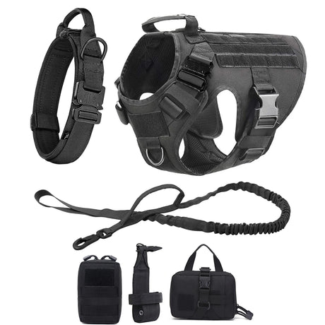 Black four-piece set laid out: harness, collar, bungee lead and three pouches