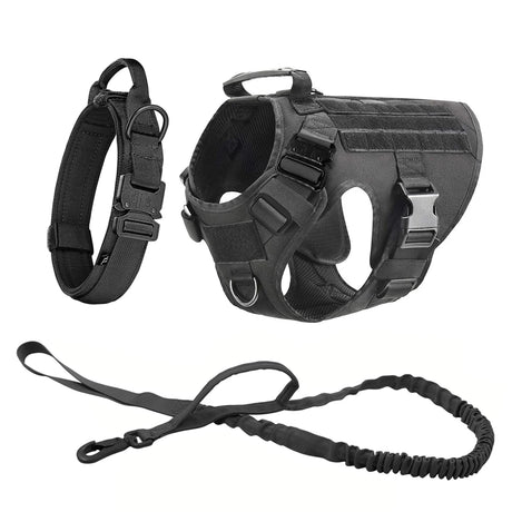 Black three-piece set: harness, padded collar with metal buckle and bungee lead