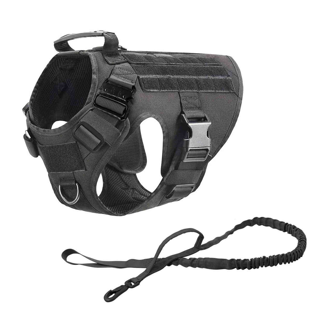 Black two-piece set: the harness on its own with the matching bungee lead