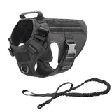 Black two-piece set: the harness on its own with the matching bungee lead