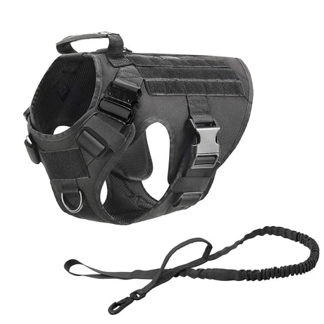Black two-piece set: the harness on its own with the matching bungee lead
