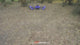 GT8 drone flying towards the camera; close-ups of a brushless motor, the camera and the screen remote; the view from its front and downward cameras; the remote's screen showing the live picture; the drone holding a low hover and stopping short of a tree; ending with it landing on an open hand.