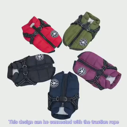 The padded dog coat in its colours, a hand zipping the plum coat and showing the clip-on lead loop and fleece lining, then a small white dog walking in it.