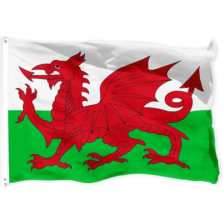 Welsh flag in printed polyester: red dragon on white and green; white header strip with metal eyelets at left